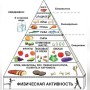 Средиземноморская диета — продлевает жизнь, доказано наукой