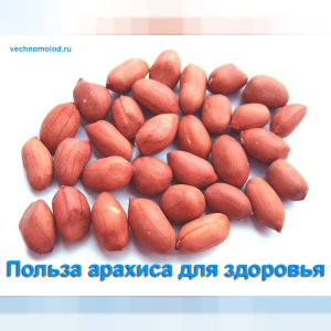 Арахис — польза для здоровья и продления жизни