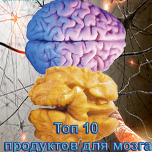 Питание для мозга — топ 10 полезных продуктов