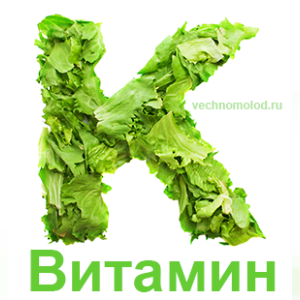 Витамин К2: дневная дозировка и как выбрать форму