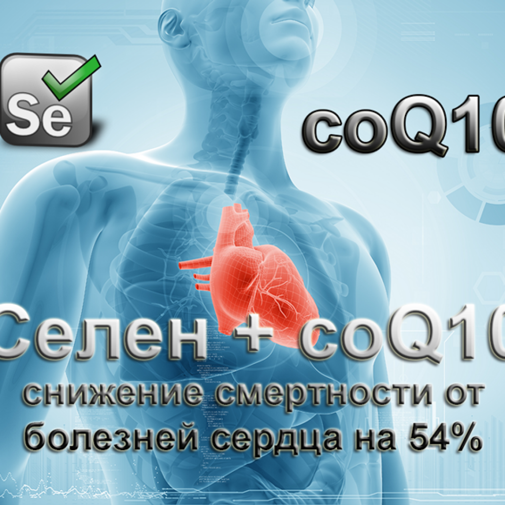 Коэнзим Q10 и селен