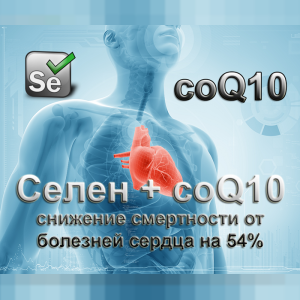 Селен: для чего нужен организму, какой лучше и сколько принимать