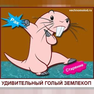 Голый землекоп: сколько живёт и почему не стареет