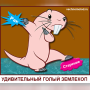 Голый землекоп: сколько живёт и почему не стареет