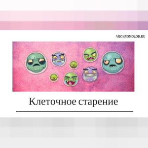Клеточное старение и сенолитики: что показали исследования
