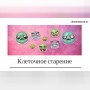 Клеточное старение и сенолитики: что показали исследования