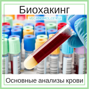 Биохакинг check-up: основные анализы крови