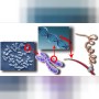 Генетический тест — есть ли смысл сдавать?