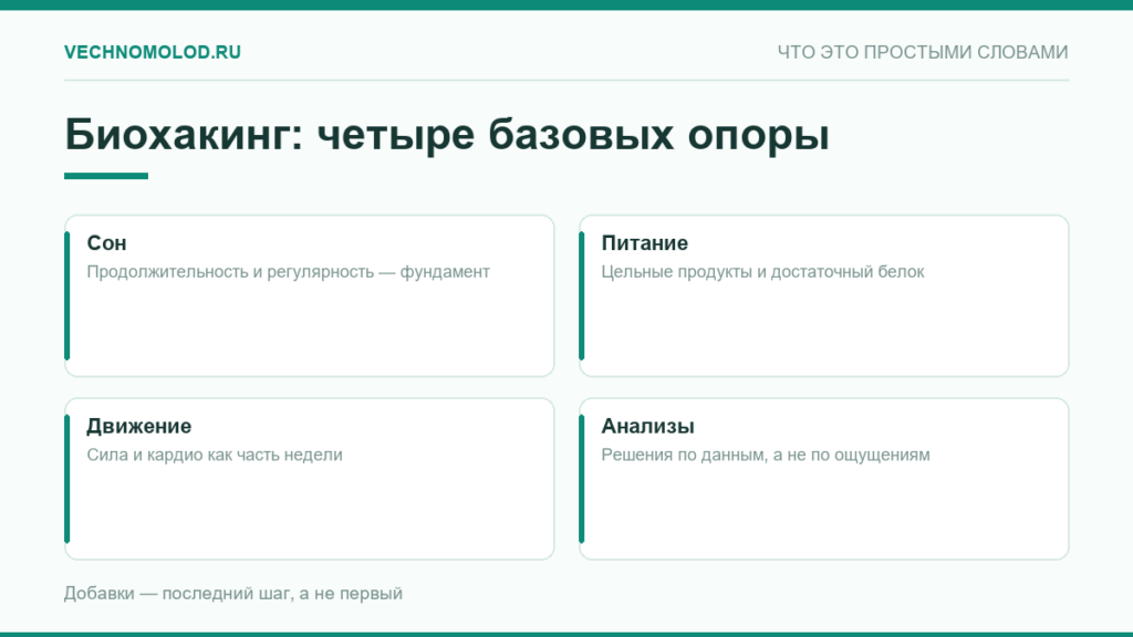 Четыре базовые опоры биохакинга: сон, питание, движение и анализы