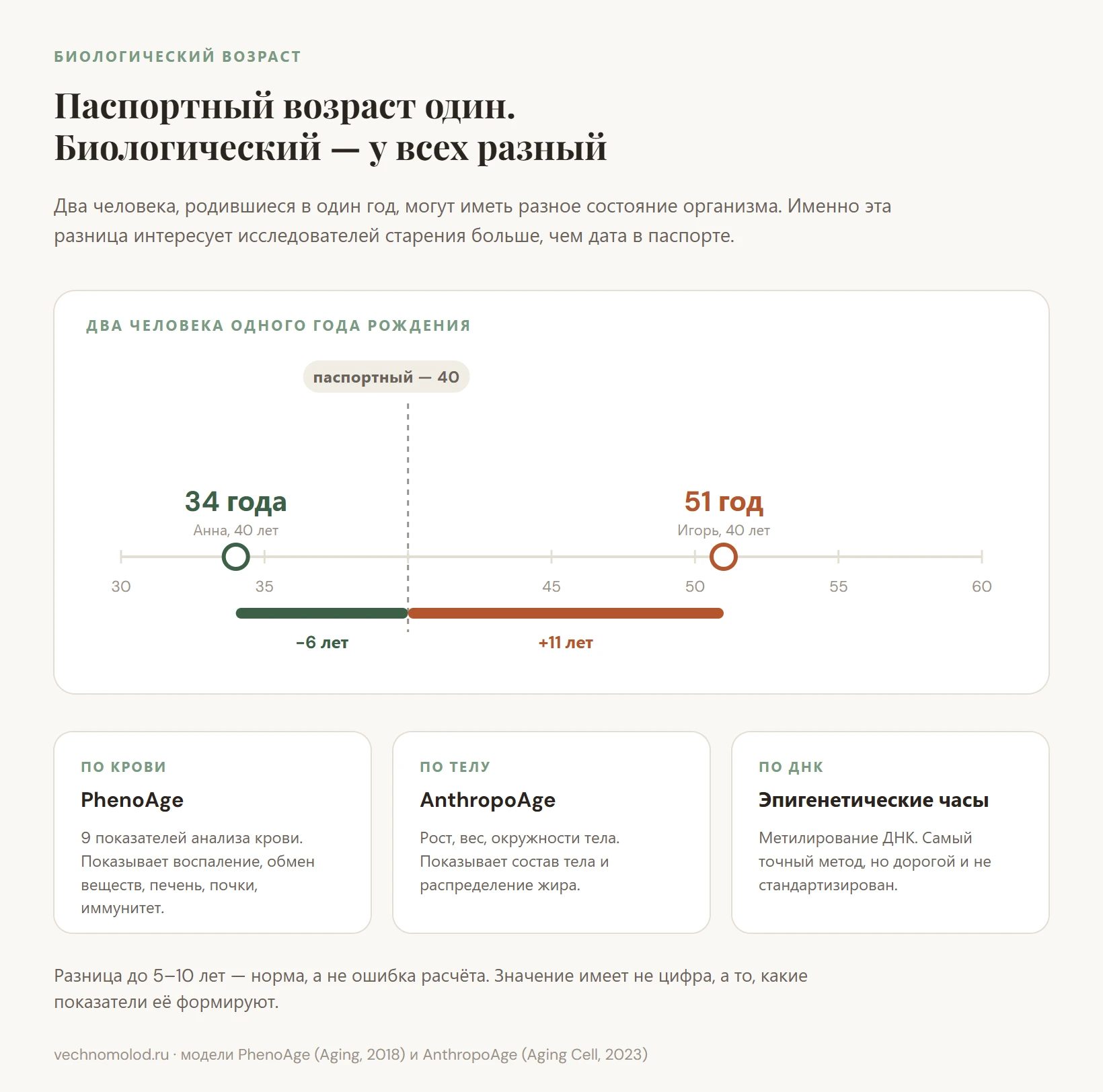 Инфографика: биологический возраст двух 40-летних — 34 и 51 год, и три метода измерения: кровь, тело, ДНК