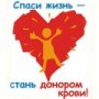 Донорство крови: как подготовиться, что можно есть и как восстановиться